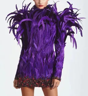 Detailed Faux Feathers Mini Dress