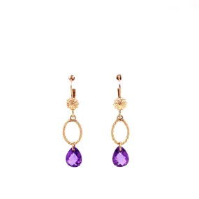 Hanging Double Oval Purple Stone Earrings