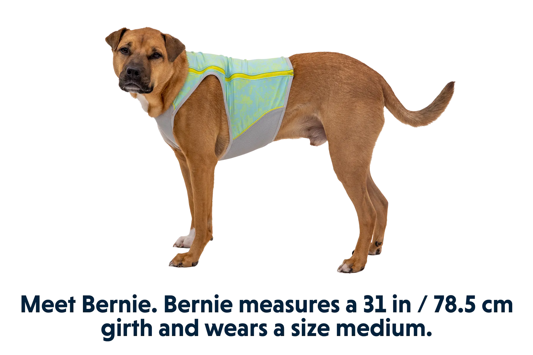 Swamp Cooler Zip™ Cooling Dog Vest